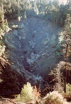Severe erosion can be a by-product of industrial clear-cut tree farming. With environmental damage like that, no wonder many people concerned about forests practically cringe when they hear the word "timbering". But in forestry management, the choice doesn't always have to be between total destruction and no tree harvesting at all.